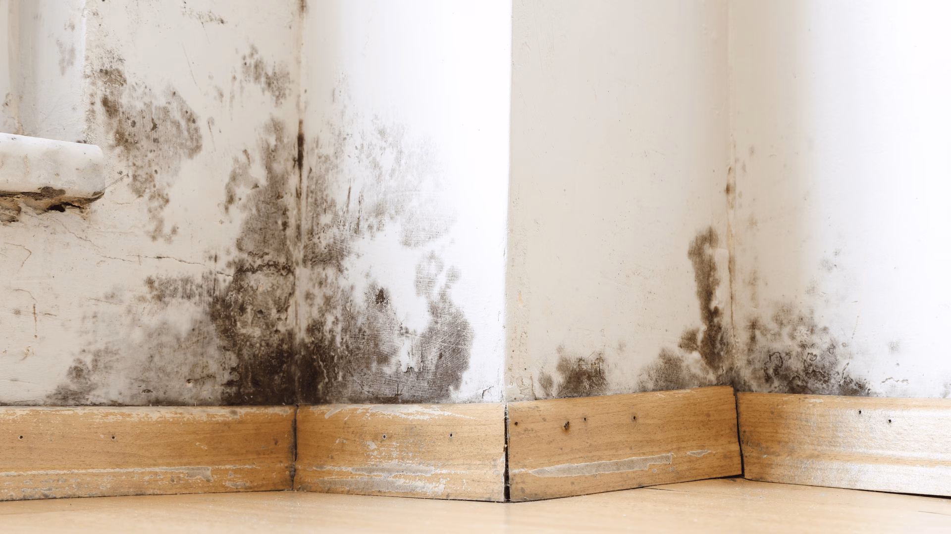 pared con humedad y moho antes de aplicar pintura antihumedad